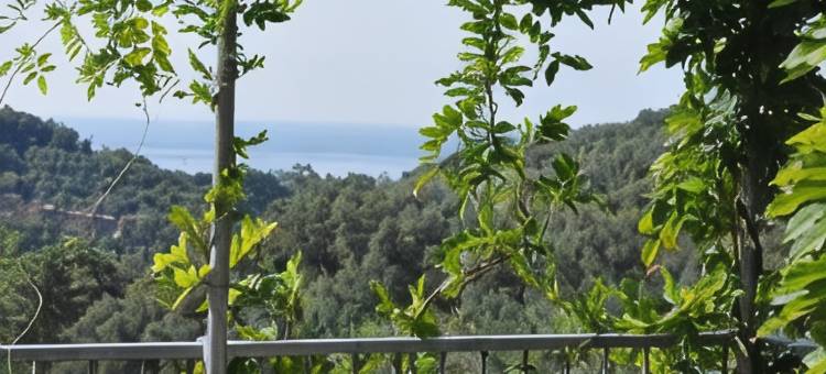 阿泰拉狄马雷酒店(Hotel Al Terra di Mare)图片