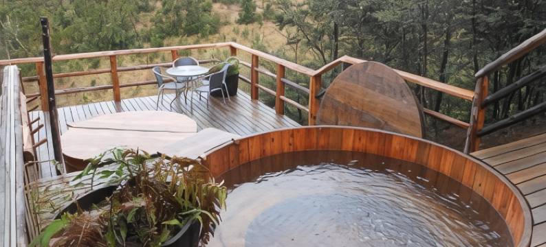 帕克奎里柯酒店(Hotel Parque Quilquico)图片