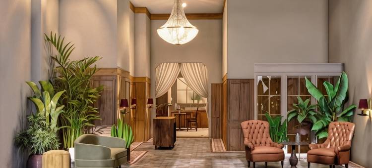 诺克斯维尔市中心克莱奥臻品之选酒店(Hotel Cleo, Knoxville Downtown, a Tribute Portfolio Hotel)图片