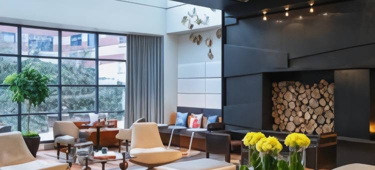 底特律诺维巴朗纳特万丽酒店(The Baronette Renaissance Detroit-Novi Hotel)图片