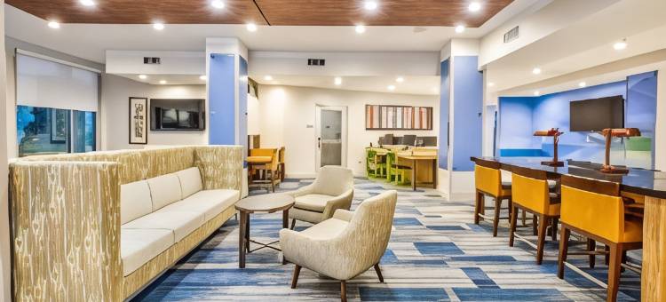 法默斯布兰奇智选假日套房酒店(Holiday Inn Express & Suites Dallas NW - Farmers Branch)图片