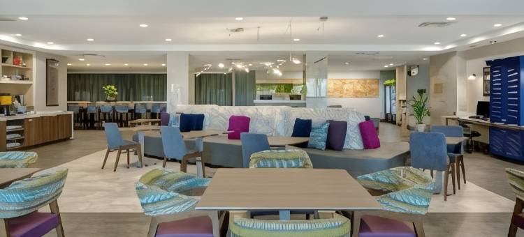 普莱诺理查森希尔顿惠庭酒店(Home2 Suites by Hilton Plano Richardson, TX)图片