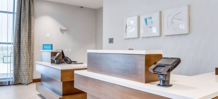 希尔顿花园酒店 北达拉斯中央高速公路(Hilton Garden Inn North Dallas Central Expy)图片