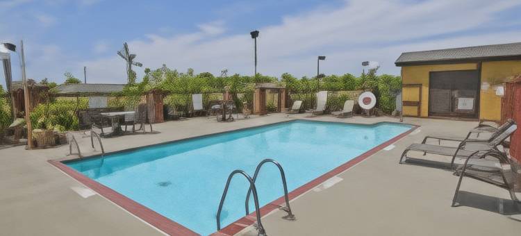 智选假日套房酒店奥利夫布兰奇(Holiday Inn Express & Suites Olive Branch)图片