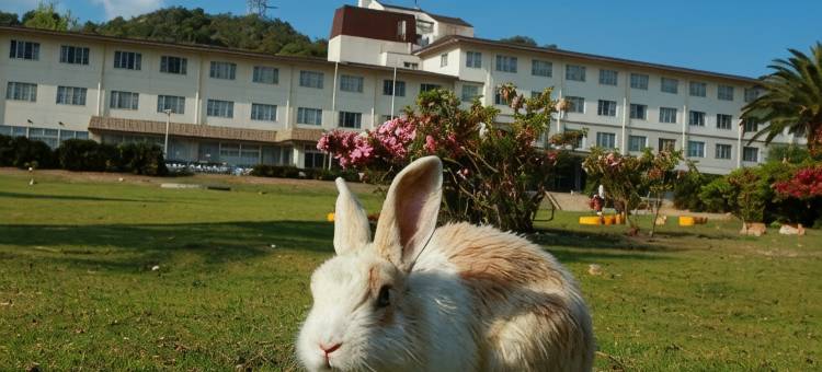 度假村 大久野岛(Kyukamura Ohkunoshima)图片