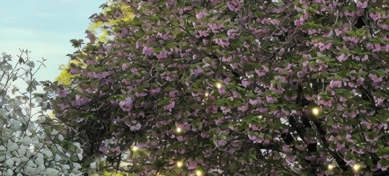 尚帕涅武器酒店及水疗中心(Armes de Champagne)图片