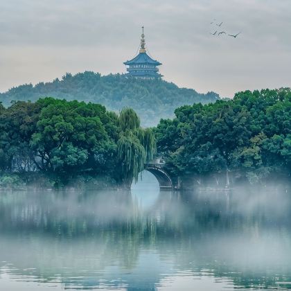上海+乌镇+杭州+苏州+扬州+南京10日9晚私家团