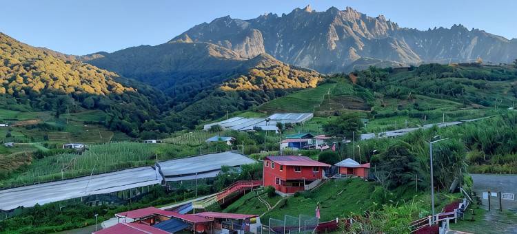Alpaca Club Homestay图片