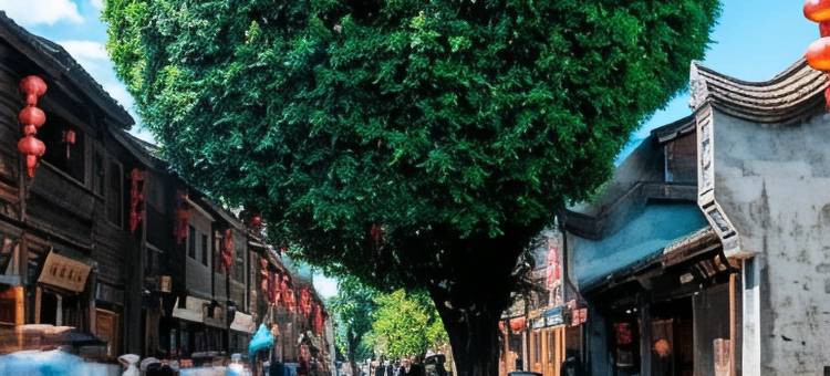 福州双紫星酒店(三坊七巷水部地铁站店)图片
