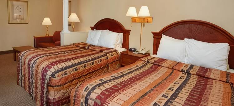 克利尔沃特-但尼丁舒适套房酒店(Comfort Suites Clearwater - Dunedin)图片