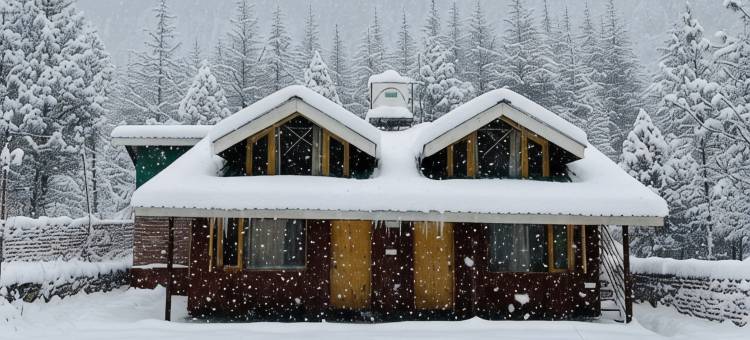 阿尔卑斯小屋(The Alpine Hut)图片