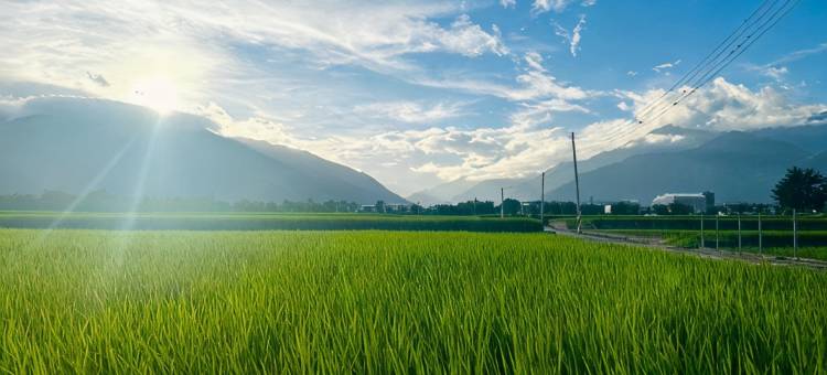 蓝天山丘池上馆民宿图片