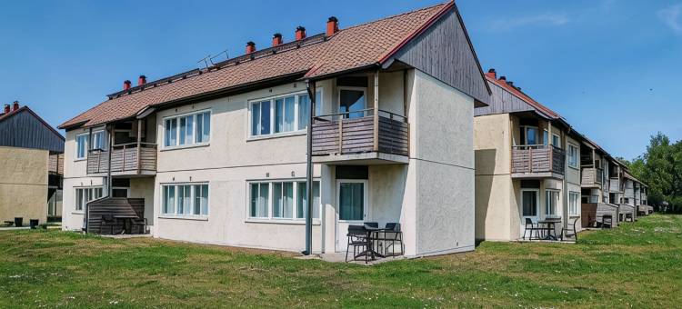 哥特兰斯泰志愿者(GotlandStay Volontären)图片
