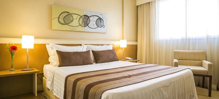 Astron酒店包鲁by Nobile(Astron Hotel Bauru by Nobile)图片