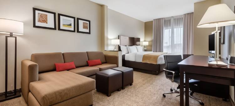 拉斐特大学区舒适套房酒店(Comfort Suites Lafayette University Area)图片