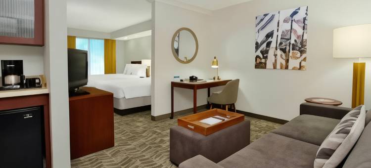 切萨皮克绿蔷薇SpringHill套房(SpringHill Suites Chesapeake Greenbrier)图片