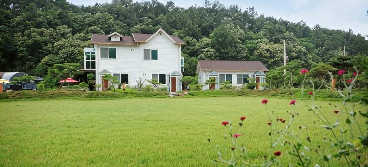 坛阳三叶草旅馆(Damyang Clover Pension)图片