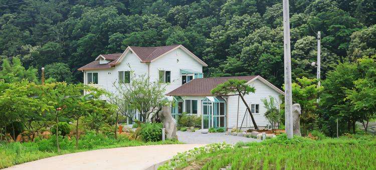 坛阳三叶草旅馆(Damyang Clover Pension)图片