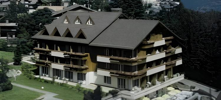 斯坦马蒂酒店(Hotel Steinmattli)图片