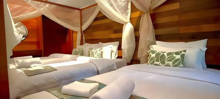 婆罗洲西必洛雨林度假村(Borneo Sepilok Rainforest Resort)图片