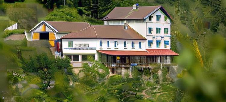 贝尔维餐厅酒店(Logis Hôtel Belle Vue)图片