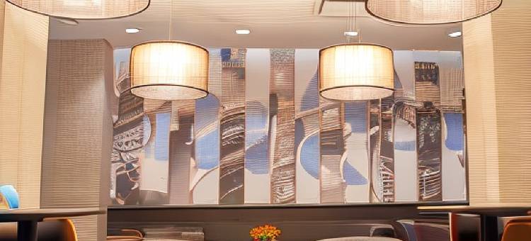 纽约市区酒店，希尔顿启缤精选(Distrikt Hotel New York City, Tapestry Collection by Hilton)图片