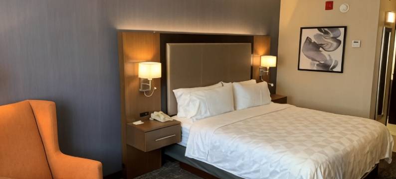 Holiday Inn & Suites 芝加哥罗斯奇姆(惠顿)(Holiday Inn & Suites CHICAGO-CAROL STREAM (WHEATON) by IHG)图片