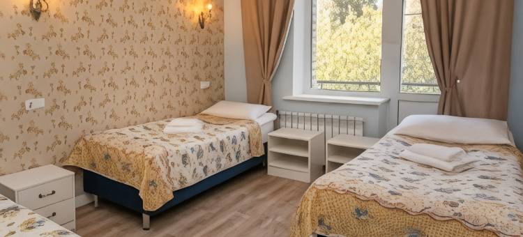 Sosnovy Bor Park Hotel图片