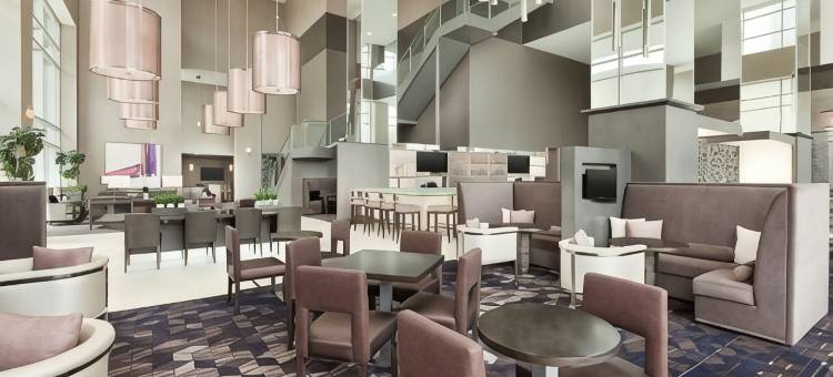 夏洛特上城希尔顿安泊酒店(Embassy Suites by Hilton Charlotte Uptown)图片