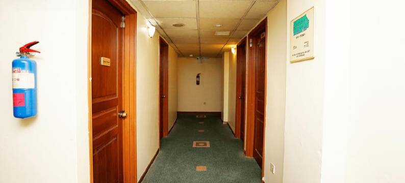 新胡姬大酒店(New Orchid Hotel)图片