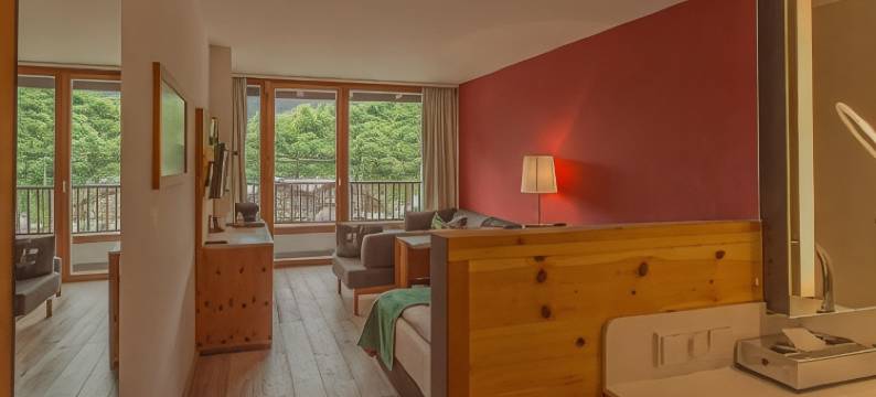 俄泽佐格约翰SPA酒店(SPA Hotel Erzherzog Johann)图片