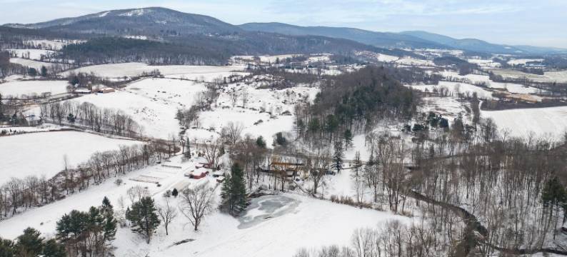 布鲁克斯汽车旅馆(The Brooks Motel)图片