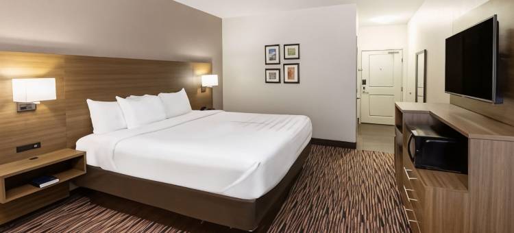 威奇托福尔斯密歇根州立大学区拉昆塔温德姆套房酒店(La Quinta Inn & Suites by Wyndham Wichita Falls - MSU Area)图片