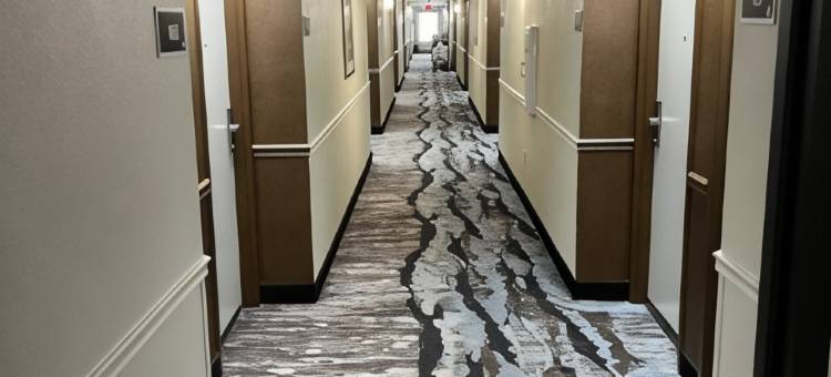 俄亥俄州门罗温德姆贝蒙特酒店(Baymont by Wyndham Monroe Ohio)图片