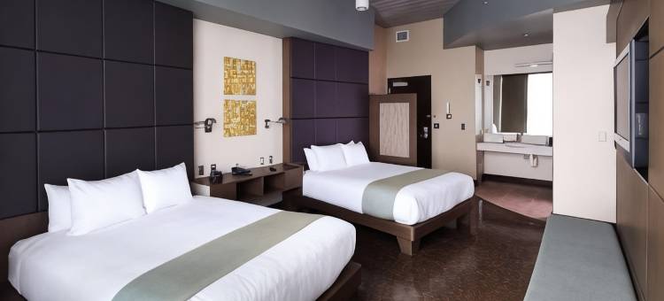 郁金香酒店 - 希尔顿启缤精选酒店(Tulyp, Tapestry Collection by Hilton)图片