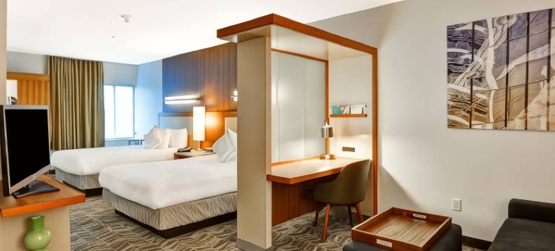 哥伦比亚SpringHill Suites酒店(SpringHill Suites by Marriott Columbia Fort Meade Area)图片