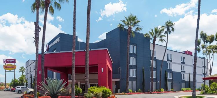 贝斯特韦斯特优质商务优质酒店(Best Western Plus Commerce Hotel)图片