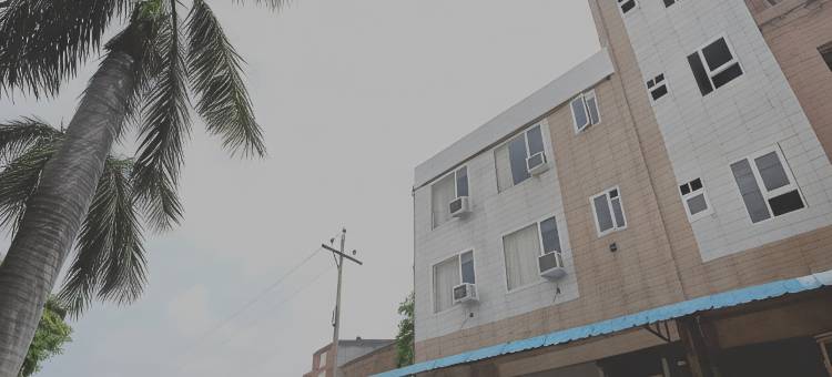 Collection O Gold Star图片