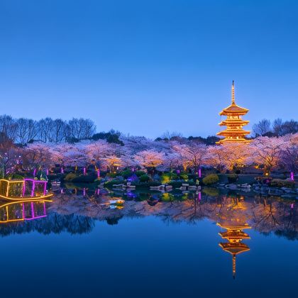 武汉+黄鹤楼+神农架+武当山7日6晚私家团