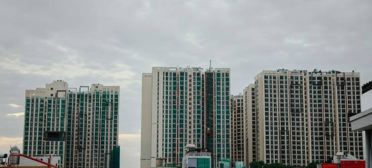哈罗西贡家庭旅馆(Hello SaiGon Homestay)图片