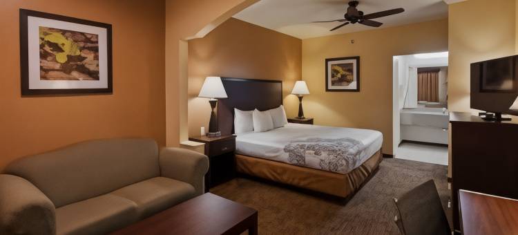 纳瓦索塔温德姆戴斯酒店(Days Inn by Wyndham Navasota)图片