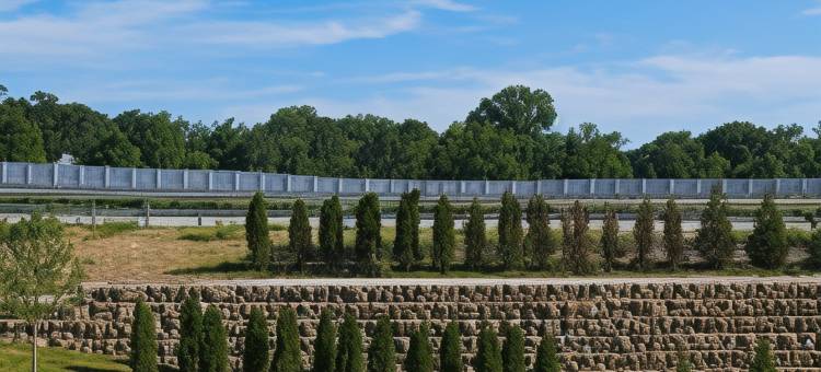 圣路易斯布伦特伍德万豪万怡酒店(Courtyard St. Louis Brentwood)图片