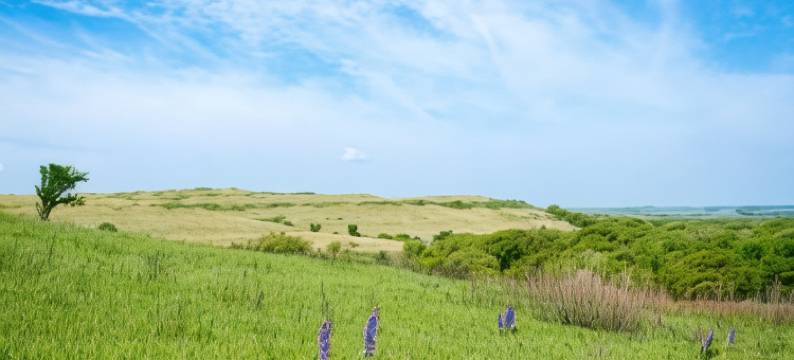 J.C.贝斯特韦斯特酒店(Best Western J. C. Inn)图片