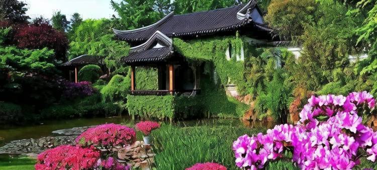 OYO长沙芙榕宾馆图片