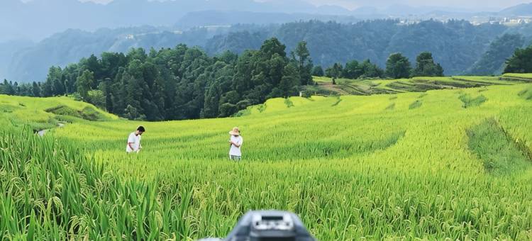 群山之心·甲乙民宿图片