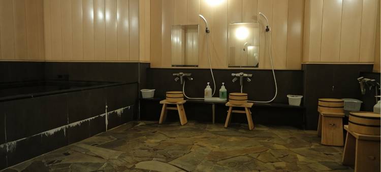 新泻公园酒店(Niigata Park Hotel)图片