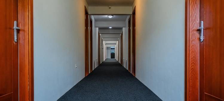 萨拉杰酒店(Hotel Saraj)图片