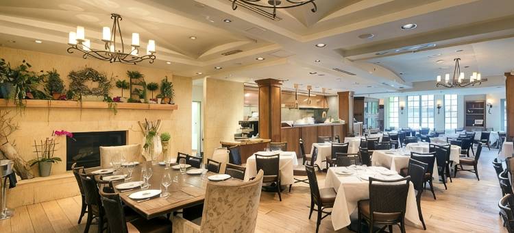 洛思加图斯酒店(Hotel Los Gatos)图片