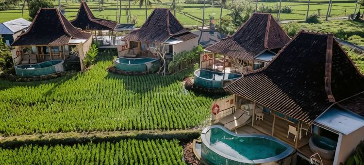 乌布 DITUJU(DITUJU Ubud by GenuineHost)图片