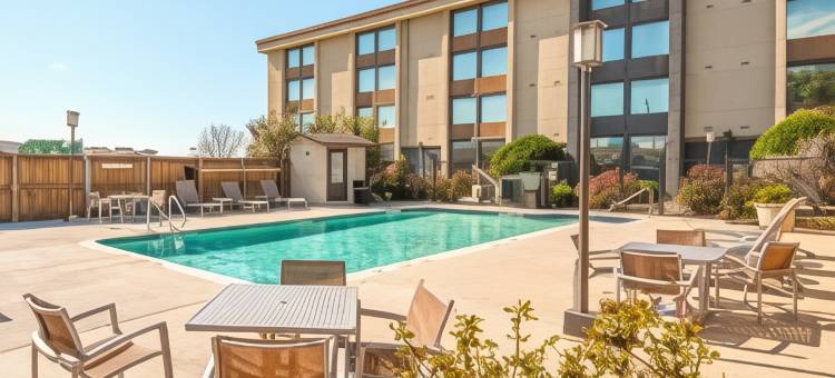 欧文/达拉斯DFW机场南万枫酒店及套房(Fairfield Inn & Suites Dallas DFW Airport South/Irving)图片